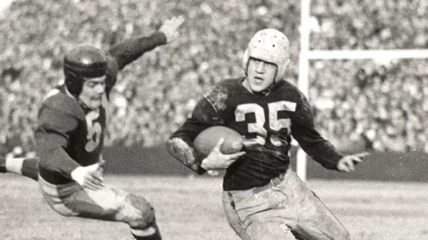 image: Gallery GALLERY_Dudley - image: 