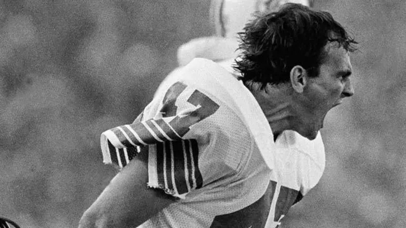 image: Gallery Dolphins Greats - image: 