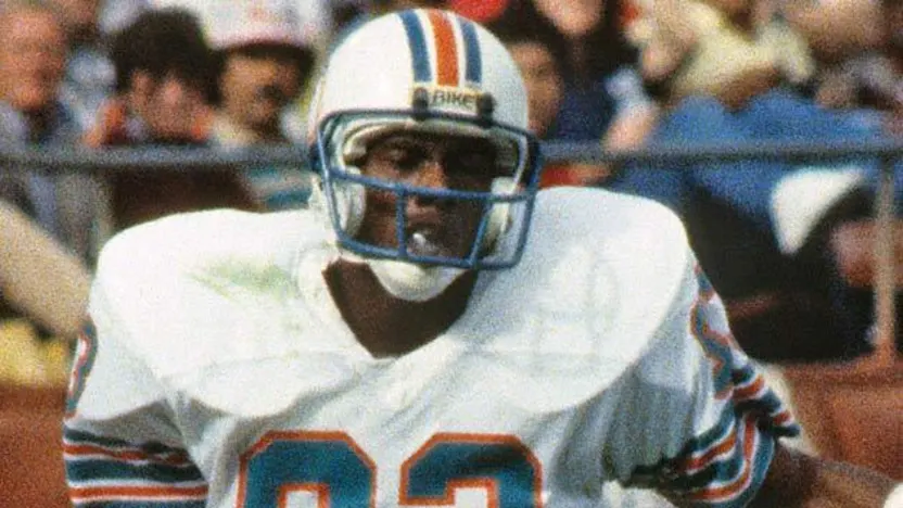 image: Gallery Dolphins Greats - image: 