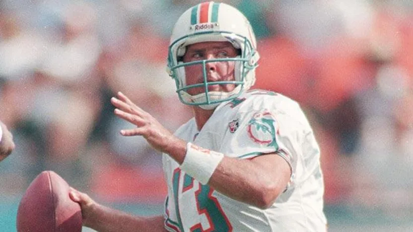 image: Gallery Dolphins Greats - image: 