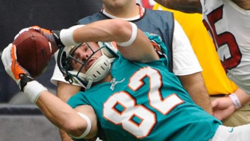 image: Gallery Dolphins Greats - image: 