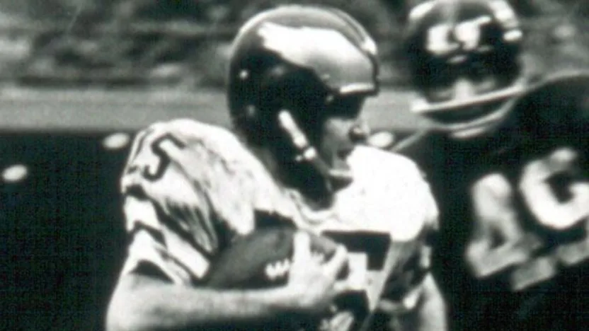 image: Gallery Hall of Fame Wide Receivers - image: 
