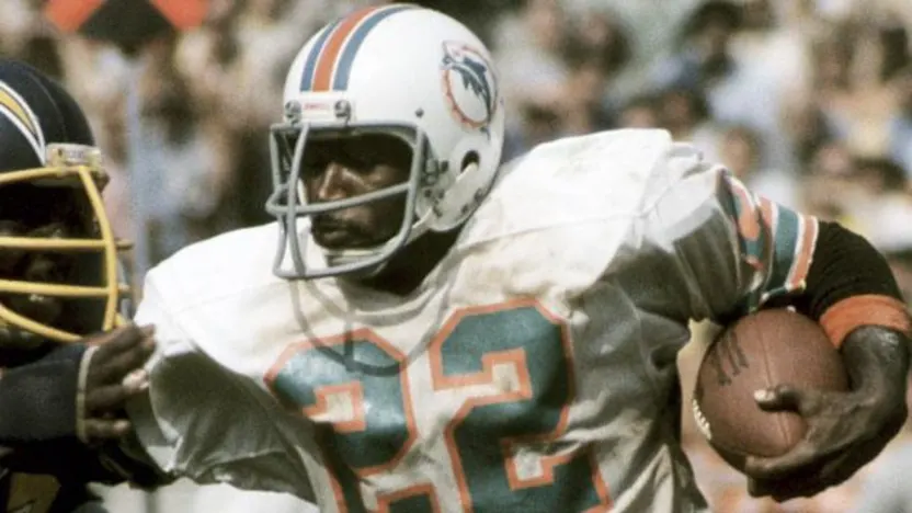image: Gallery Dolphins Greats - image: 