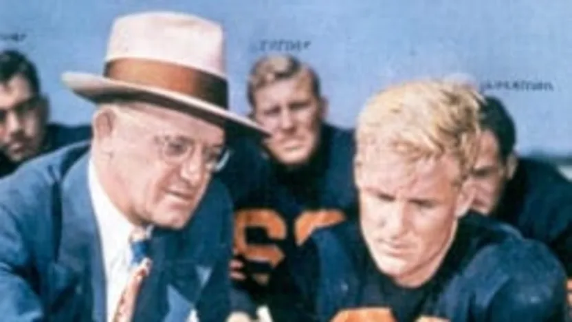 image: Gallery "Papa Bear" in Photos - image: 