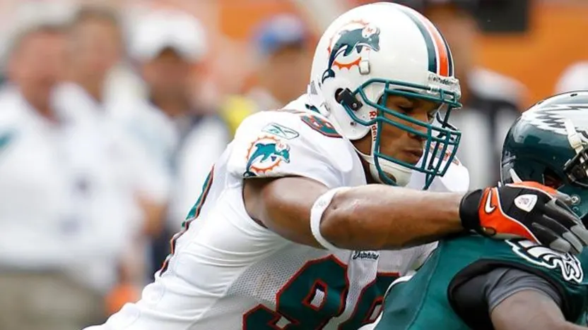image: Gallery Dolphins Greats - image: 