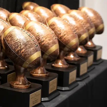 image: Three Former NFL Athletic Trainers Selected to Receive 'Awards of Excellence'