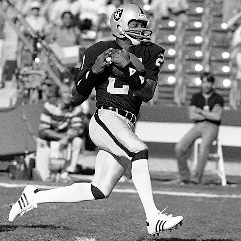 image: Career Highlights