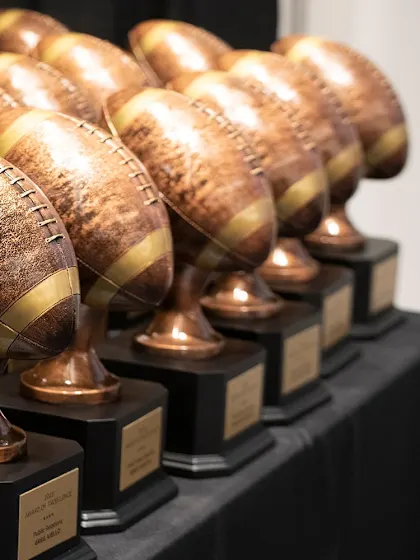 image: 3 former NFL Assistant Coaches selected to receive 'Awards of Excellence'