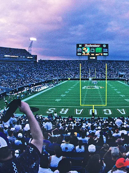 image: 1980-1999-Jags_bbbakm
