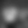 Tunsil_Conerly