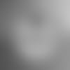 2025_camping_out_thumbnail