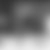 25_Broadcast_Newsletter_Week8