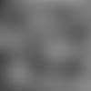 20-QUESTIONS-JULY-22