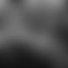 media_99554833_99161687.mp4