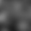 20231218_PHIvsSEA_IMG_8077