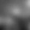20241208_SEAatARI_MAR_RM8_0369