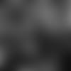 20230414_UDC_3X3A2552-2