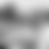 DH4_0647