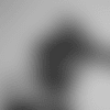 Lonnie_thumb_102725