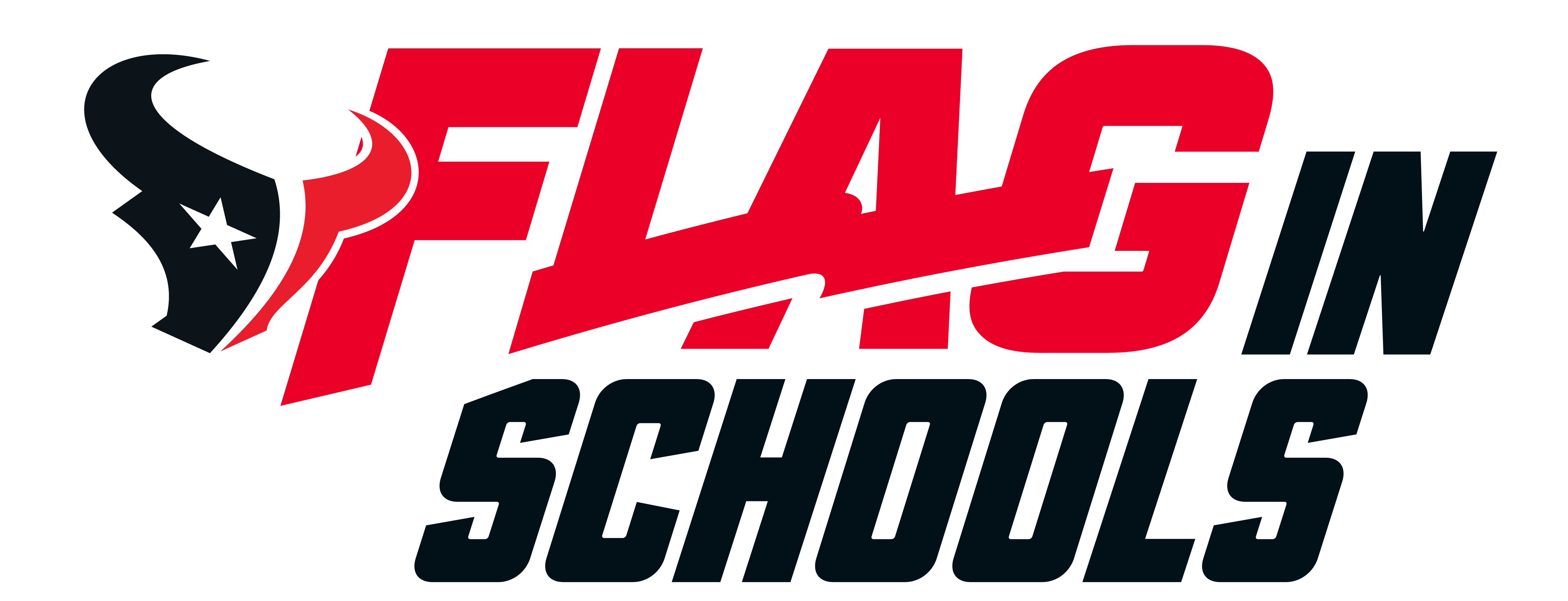 Houston Texans Flag-in-Schools