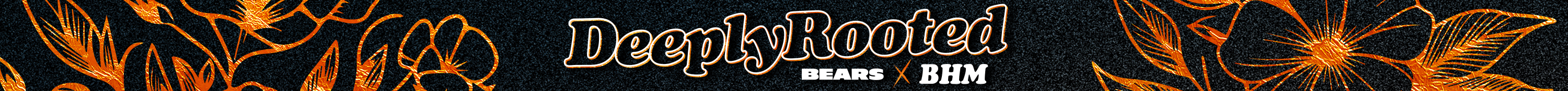 Website header - Chicago