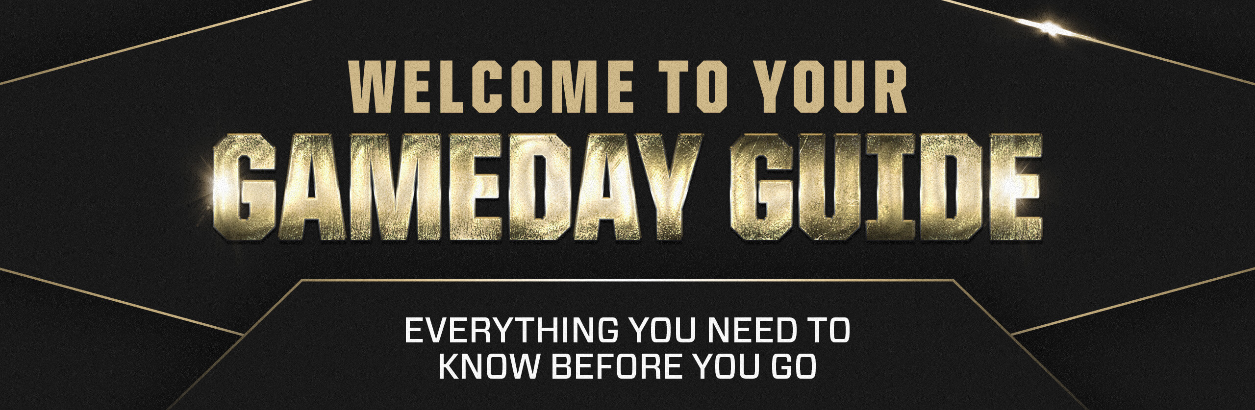Read below for critical updates to you New Orleans Saints tickets.