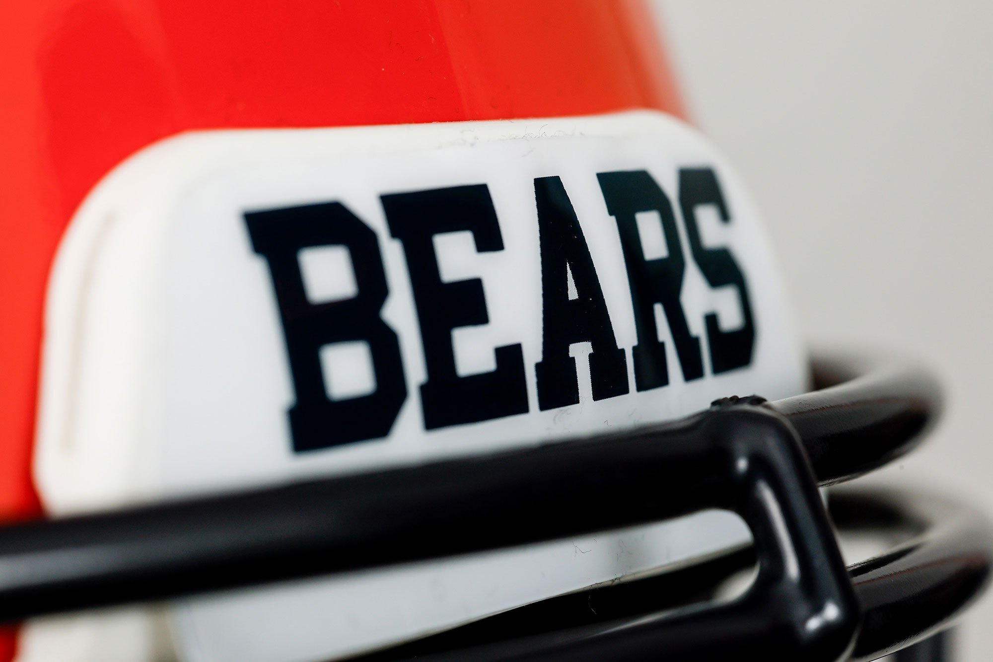 Helmet detail view: BEARS mark