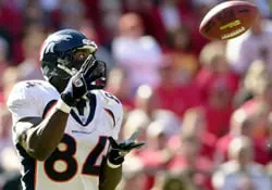 image: News Sharpe’s second season success