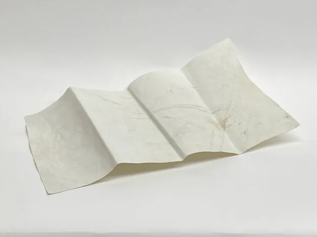 image: News HOF 16 Most Unusual ArtifactsRoof3
